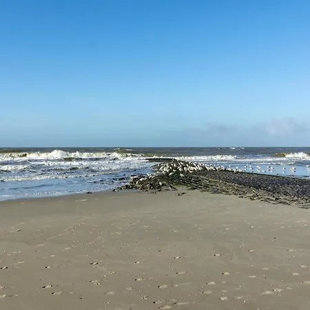 Bewitching Near * Callantsoog
